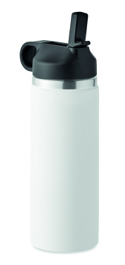 Logo trade promotional merchandise photo of: Double wall bottle 500 ml