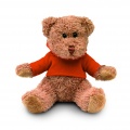 Teddy bear plus with hoodie, Orange