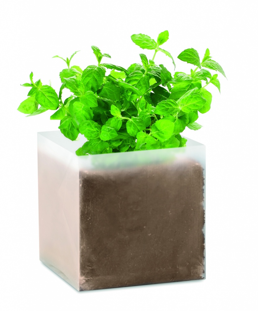 Logotrade corporate gift picture of: Compost with seeds "MINT"