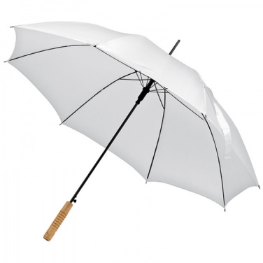 Logotrade corporate gift picture of: Automatic walking-stick umbrella LE MANS