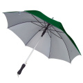 Automatic umbrella with UV protection AVIGNON, dark green