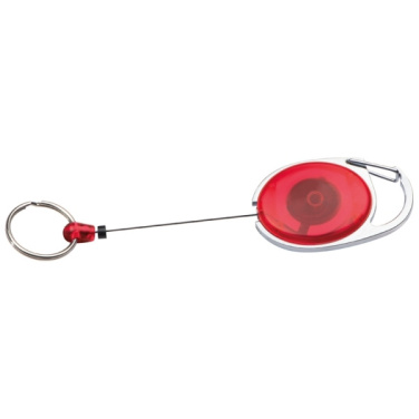 Logo trade promotional merchandise picture of: Ski-Pass with Carabiner Keyring EMPLOYEE