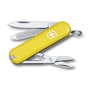 Logo trade promotional merchandise image of: Pocket knife CLASSIC SD Victorinox