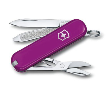 Logotrade promotional product picture of: Pocket knife CLASSIC SD Victorinox