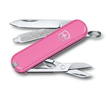 Logo trade corporate gift photo of: Pocket knife CLASSIC SD Victorinox