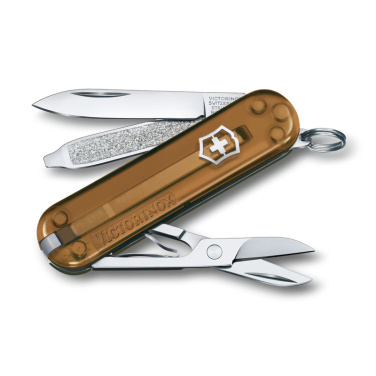 Logotrade promotional giveaway image of: Pocket knife CLASSIC SD Victorinox