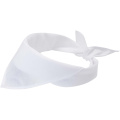 Heracles bandana, White