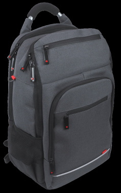 Logotrade promotional giveaway picture of: Laptop backpack 123815000