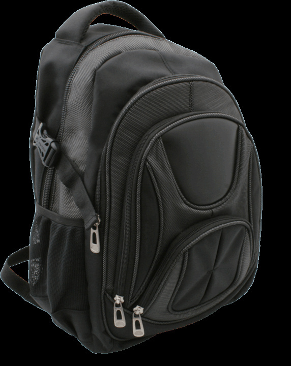 Logotrade promotional gift picture of: Laptop backpack 69903400