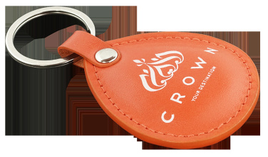 Logotrade promotional merchandise image of: Keyring 573131