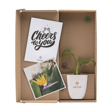 Logo trade promotional merchandise image of: Treemore Letterbox Trees Bird of Paradise plant