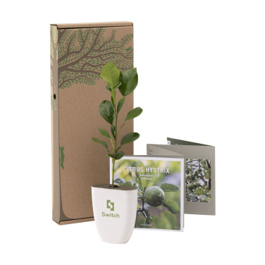 Logo trade corporate gift photo of: Treemore Letterbox Trees Kaffir Lemon