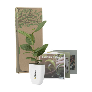 Logo trade promotional products image of: Treemore Letterbox Trees Tea plant