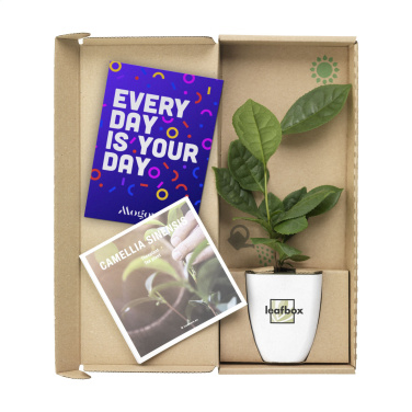 Logotrade promotional gift picture of: Treemore Letterbox Trees Tea plant