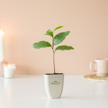 Logotrade promotional item image of: Treemore Letterbox Trees Tea plant