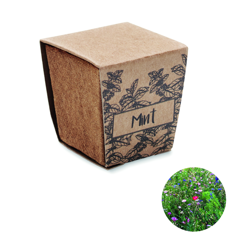 Logo trade promotional gifts image of: Mint seeds growing kit