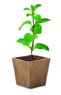 Logotrade promotional gift picture of: Mint seeds growing kit