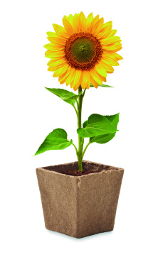 Logo trade promotional items picture of: Sunflower growing kit