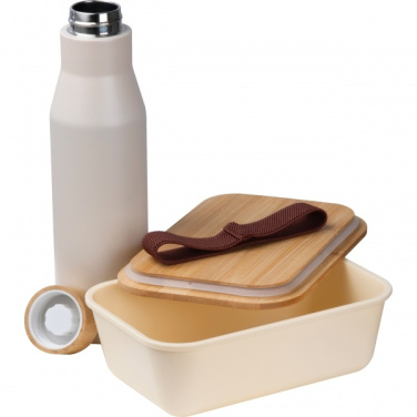 Logo trade promotional giveaways picture of: Set Lunchbox with stainless steel bottle Toronto