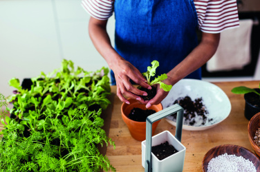 Logo trade promotional gifts picture of: Indoor garden with LED light