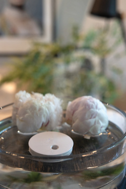 Logotrade promotional merchandise picture of: Breevia RCS rplasic re-chargeable floating humidifier