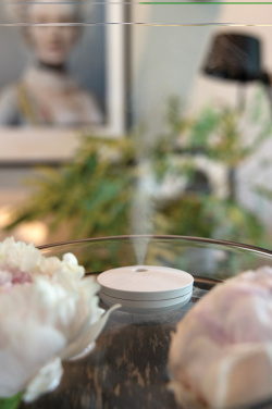 Logotrade promotional product image of: Breevia RCS rplasic re-chargeable floating humidifier