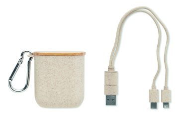 Logo trade business gifts image of: Cable set in case