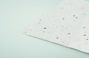 Logo trade promotional items picture of: Wildflower seed business card.