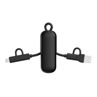 Logo trade corporate gift photo of: Urban Vitamin Dublin 100W 4 -in-1 keychain cable