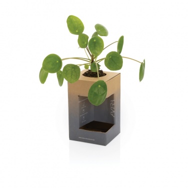 Logotrade reklaamkingitused pilt: Avira Alya RCS Re-steel termostops 300 ml