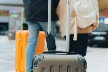 Logotrade firmakingid pilt: Pagasilipik ülemaailmse asukoha määramisega