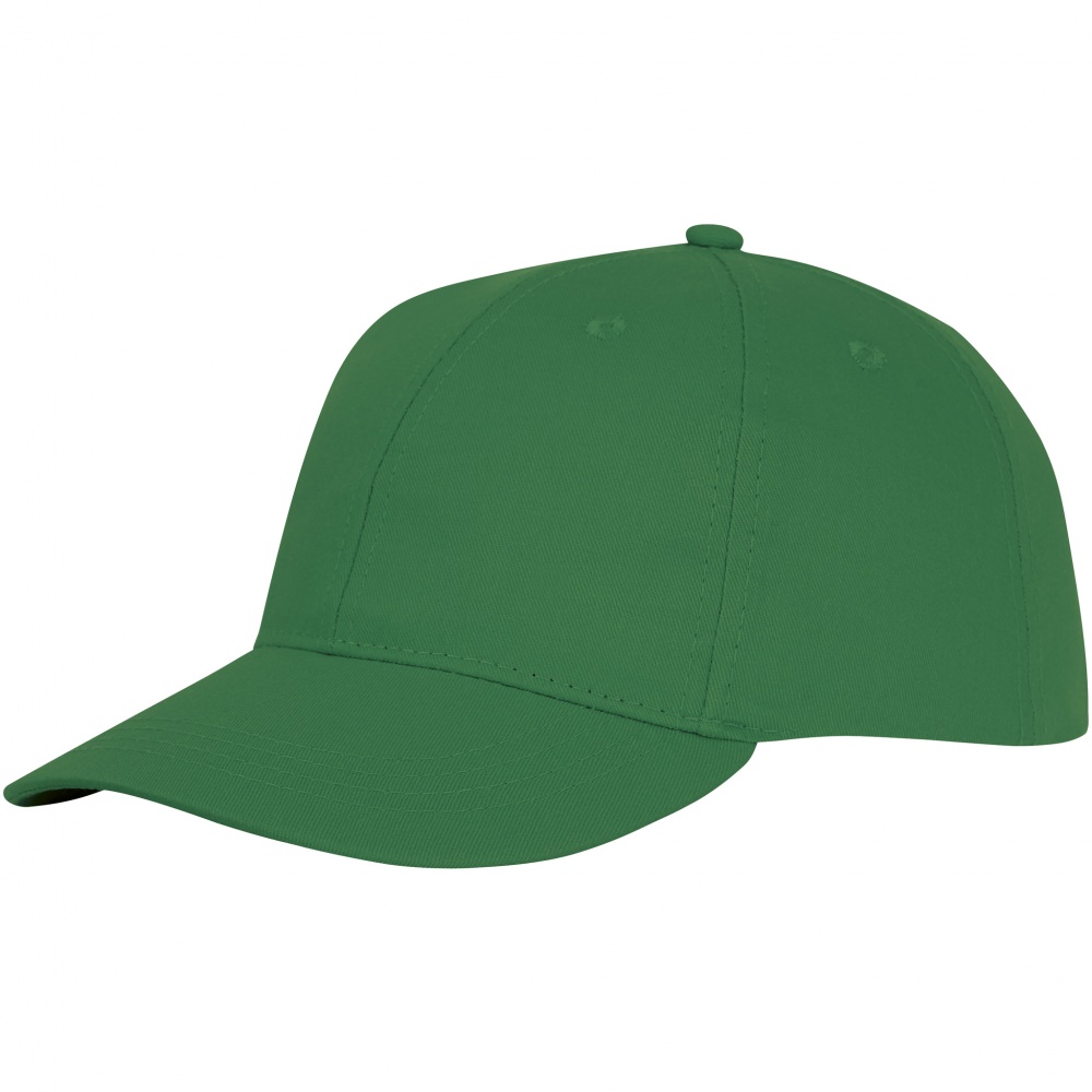 Logo trade liikelahja mainoslahja tuotekuva: Ares 6 panel cap fern green