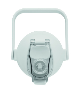 Logotrade firminės dovanos nuotrauka: RPET vandens butelis 2000 ml