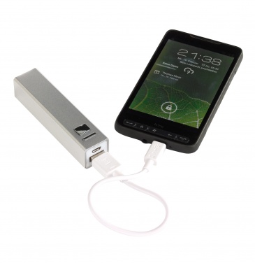 Лого трейд pекламные продукты фото: Firmakingitus: Powerbank, Endurance, silver