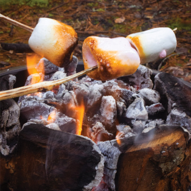 Logotrade reklamprodukter bild: Eco Grill XL