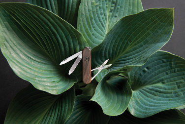 Logotrade kampanjprodukter bild: VICTORINOX Classic SD Wood Fickkniv 5 funktioner